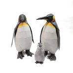 Emperor Penguin