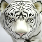 White Tiger