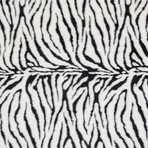 DA-01 // Zebra (2'0" x 3'0")