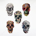 Skull Variety Pack