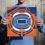 Sports Authority Field at Mile High (Unframed)
