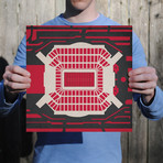 Raymond James Stadium (Unframed)