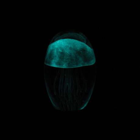 Baby Jellyfish (Blue)