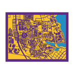 Louisiana State University Campus