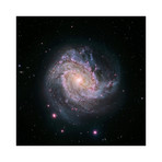 M83 - Spiral Galaxy // Hubble-Magellan Composite (24"W x 24"H)