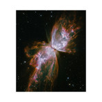 Butterfly Nebula (16"W x 14"H)