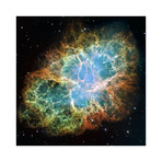 Crab Nebula Mosaic (18"W x 18"H)