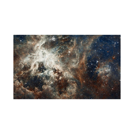 Tarantula Nebula (16"W x 12"H)