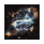 NGC 5189 (12"W x 12"H)