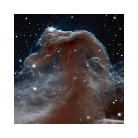 Horsehead Nebula // Infrared View (12"W x 12"H)