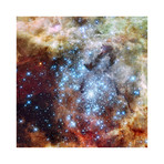 Merging Clusters in 30 Doradus (12"W x 12"H)