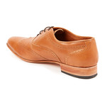 Wingtip Oxford // Brown (US: 8)