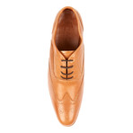 Wingtip Oxford // Brown (US: 9)