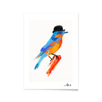 Robert Farkas // Lord Birdy (16 x 20)