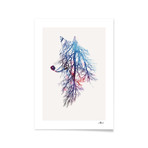 Robert Farkas // My Roots (16 x 20)