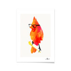 Robert Farkas // Punk Bird (16 x 20)