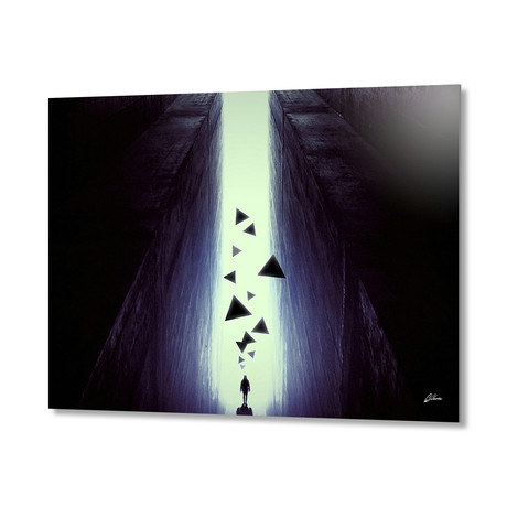 Plastique // Aluminum Print (24"W x 16"H x 0.45"D)