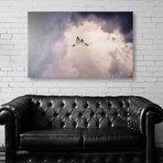 Lltt // Aluminum Print (24"W x 16"H x 0.45"D)