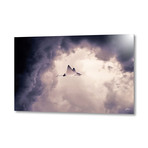 Lltt // Aluminum Print (24"W x 16"H x 0.45"D)