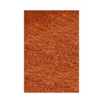 Silky Shag Rug // Tangerine (5'-0"L x 7'-0"W)