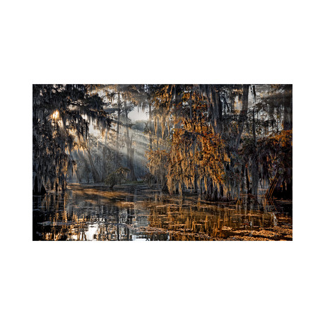 Sunrise in the Bayou // Louisiana (12"H x 20"L)