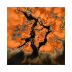 Coastal Oak Study (8"H x 8"L)