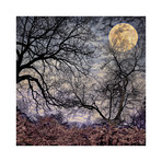 Pecan Grove and Cherry Blossom (8"H x 8"L)