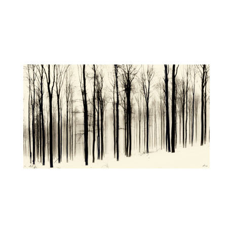 Winter Forest // Alsace // France (8"H x 8"L)