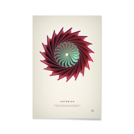 Asterias // Aluminum Print (16"L x 24"H)