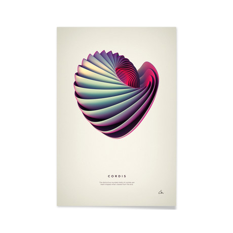 Cordis // Aluminum Print (16"L x 24"H)