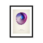 Ammonias // Framed Print (16"L x 20"H)