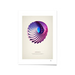 Ammonias // Framed Print (16"L x 20"H)