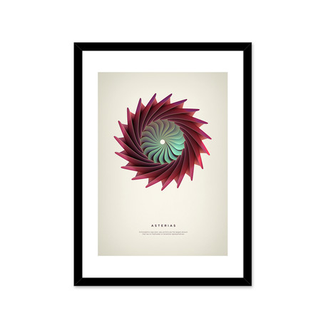 Asterias // Framed Print (16"L x 20"H)