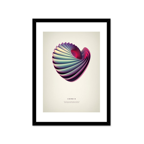 Cordis // Framed Print (16"L x 20"H)