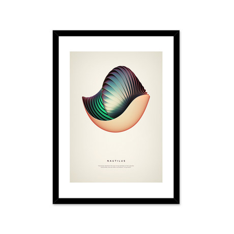 Nautilus // Framed Print (16"L x 20"H)