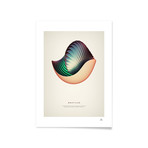 Nautilus // Framed Print (16"L x 20"H)