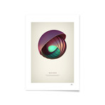 Nucleus // Framed Print (16"L x 20"H)