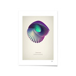 Trochus // Framed Print (16"L x 20"H)