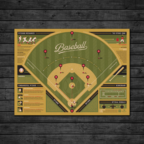 Baseball Infographic