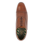 Mezzo Cap-Toe Oxford // Brown (Euro: 44)