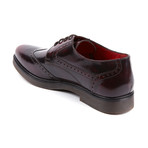 Mole Wingtip Brogue // Bordo (Euro: 42)