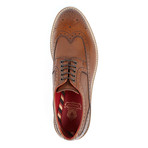 Trinity Wingtip Brogue // Brown (Euro: 41)