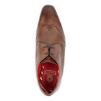 Sew Wingtip Dress Shoe // Brown (Euro: 41)