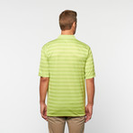 Skins Game // Bamboo Performance Stripe + Dot Polo // Green Apple (S)