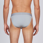 AnatoMAX Bikini Brief // Gray (Small)