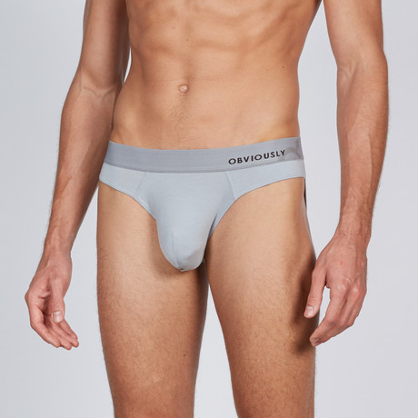 AnatoMAX Hipster Brief // Gray (Small)