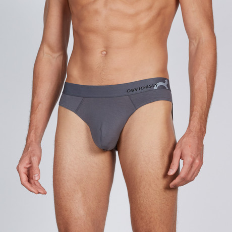 AnatoMAX Hipster Brief // Graphite (Small)