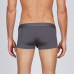 AnatoMAX Hipster Trunk // Graphite (Small)