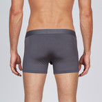 AnatoMAX Basics Boxer Brief 3 Inch Leg // Graphite (Small)