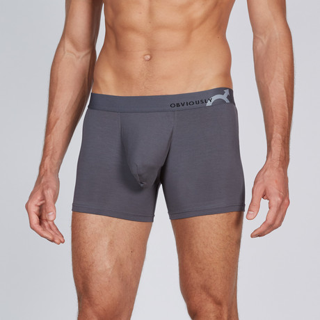 AnatoMAX Basics Boxer Brief 3 Inch Leg // Graphite (Small)